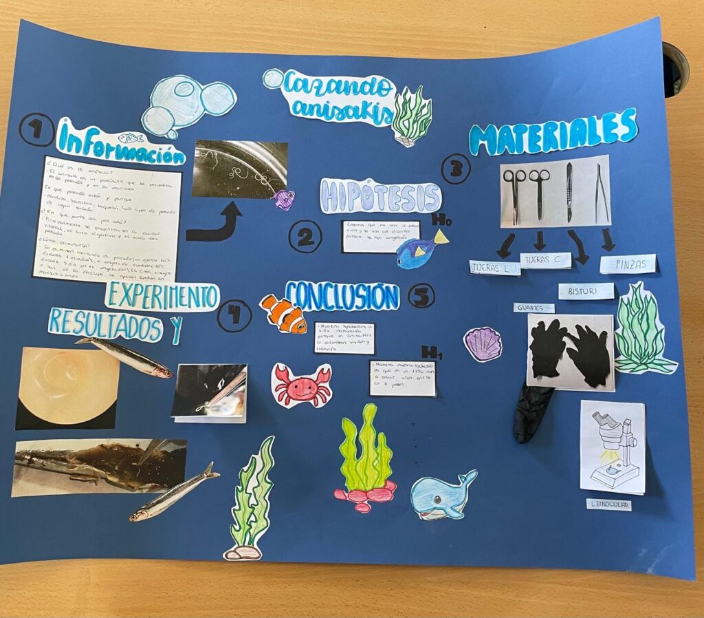 Cazando anisakis destacad