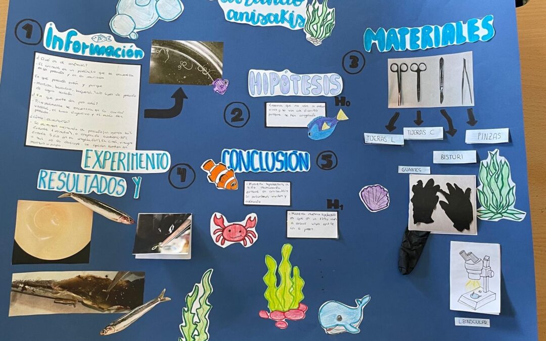 Cazando anisakis destacad