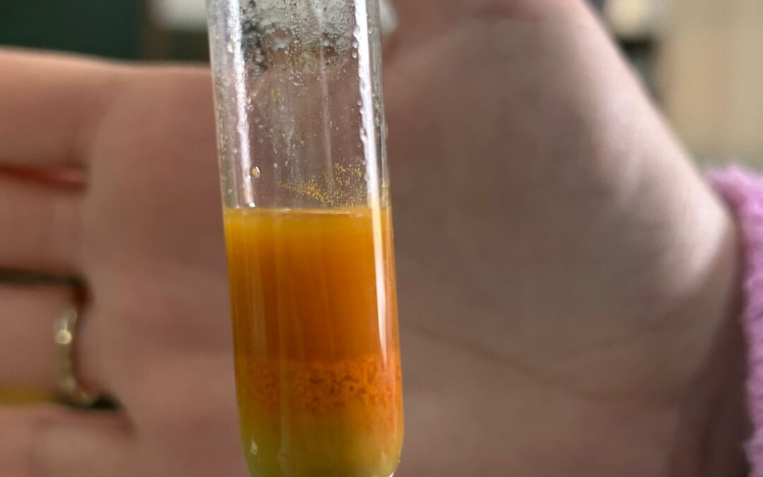 Experimento: Prueba de Fehling