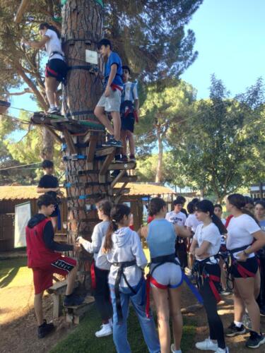 El bosque suspendido. Mayo 2025