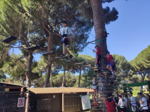 El bosque suspendido. Mayo 2025