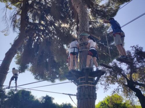 El bosque suspendido. Mayo 2025