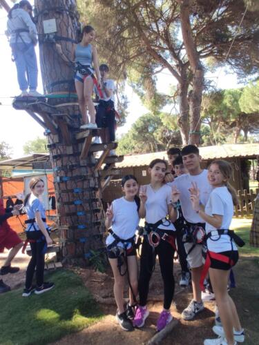 El bosque suspendido. Mayo 2025