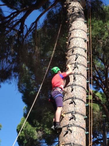 El bosque suspendido. Mayo 2025