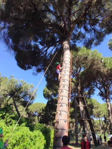 El bosque suspendido. Mayo 2025