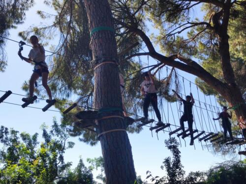 El bosque suspendido. Mayo 2025