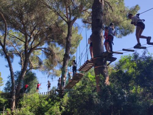 El bosque suspendido. Mayo 2025