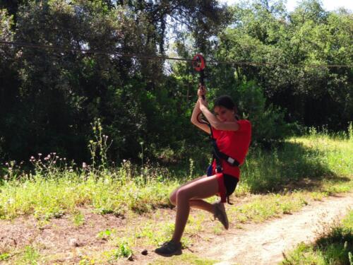 El bosque suspendido. Mayo 2025
