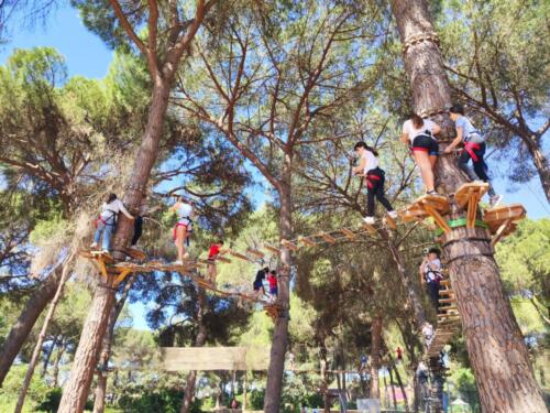 El bosque suspendido. Mayo 2025