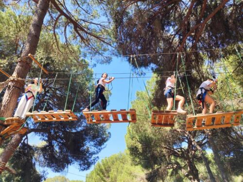 El bosque suspendido. Mayo 2025