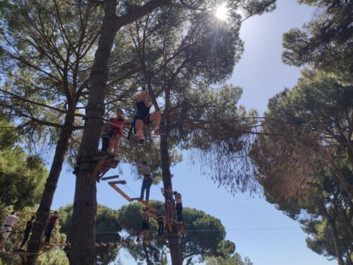 El bosque suspendido. Mayo 2025