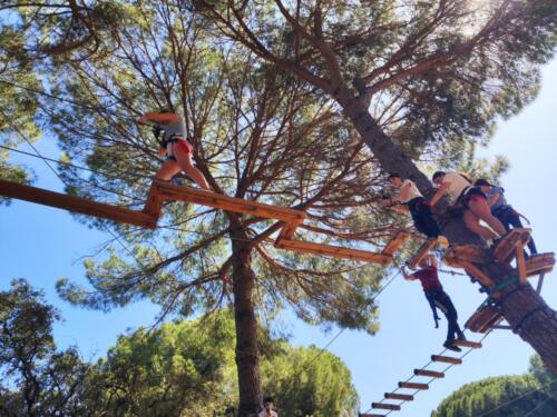 El bosque suspendido. Mayo 2025