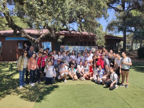 El bosque suspendido. Mayo 2025